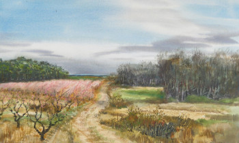 royward_watercolors_web-DSCF0408