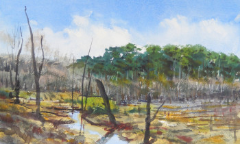 royward_watercolors_web-DSCF0410