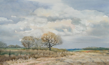 royward_watercolors_web-DSCF0413