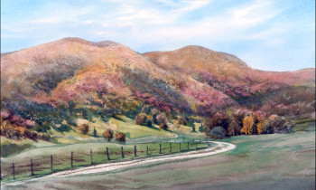 royward_watercolors_web-DSCF0845