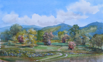 royward_watercolors_web-DSCF0847