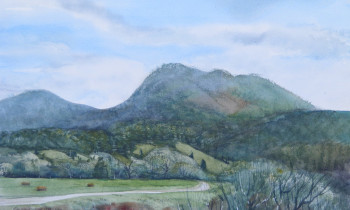 royward_watercolors_web-DSCF0854