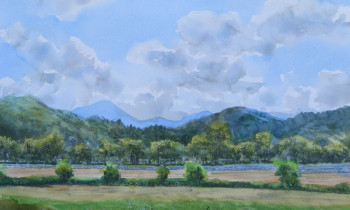 royward_watercolors_web-DSCF0869