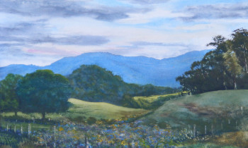 royward_watercolors_web-DSCF0877