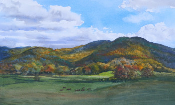 royward_watercolors_web-DSCF0882