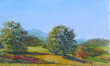 royward_watercolors_web-DSCF0883