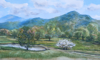 royward_watercolors_web-DSCF0889