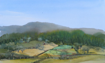 royward_watercolors_web-DSCF0890