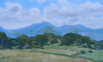 royward_watercolors_web-DSCF0892