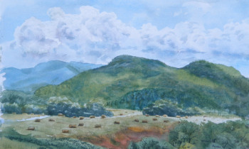 royward_watercolors_web-DSCF0893