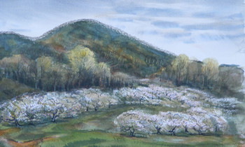 royward_watercolors_web-DSCF0899