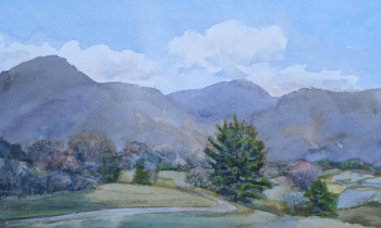 royward_watercolors_web-DSCF0901