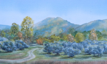 royward_watercolors_web-DSCF0906