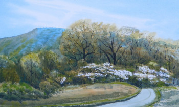 royward_watercolors_web-DSCF0908