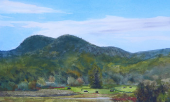 royward_watercolors_web-DSCF0913