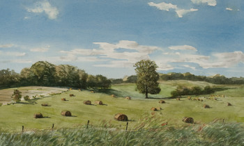 royward_watercolors_web-_NEF2360