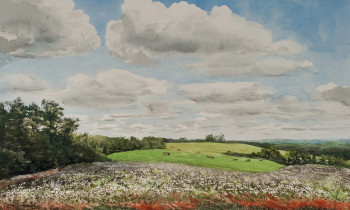 royward_watercolors_web-_NEF2367