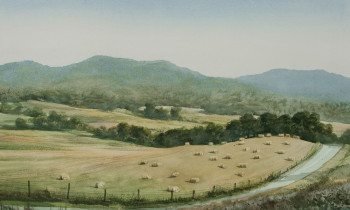 royward_watercolors_web-_NEF2368