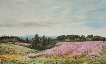 royward_watercolors_web-_NEF2369