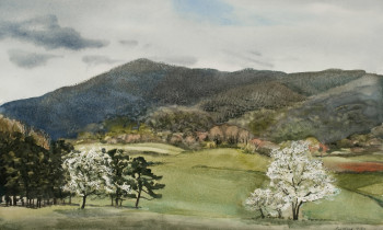 royward_watercolors_web-_NEF2374