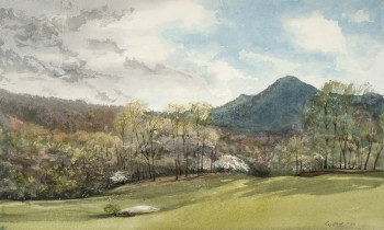 royward_watercolors_web-_NEF2375