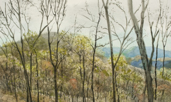 royward_watercolors_web-_NEF2378