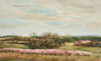 royward_watercolors_web-_NEF2379