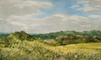 royward_watercolors_web-_NEF2381