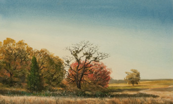 royward_watercolors_web-_NEF2383