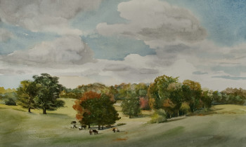 royward_watercolors_web-_NEF2395