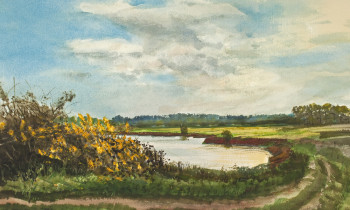 royward_watercolors_web-_NEF2397