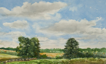 royward_watercolors_web-_NEF2399