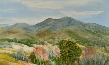 royward_watercolors_web-_NEF2400