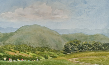 royward_watercolors_web-_NEF2402