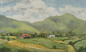 royward_watercolors_web-_NEF2403