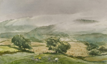 royward_watercolors_web-_NEF2407