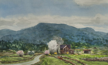 royward_watercolors_web-_NEF2411