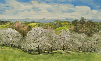 royward_watercolors_web-_NEF2412