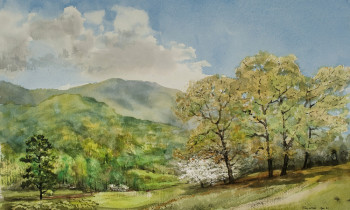 royward_watercolors_web-_NEF2413