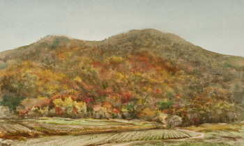 royward_watercolors_web-_NEF2418