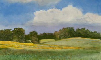 royward_watercolors_web-_NEF2420