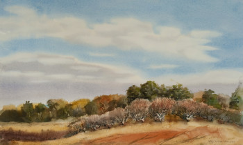 royward_watercolors_web-_NEF2424