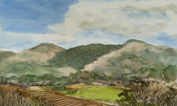 royward_watercolors_web-_NEF2426