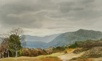 royward_watercolors_web-_NEF2428