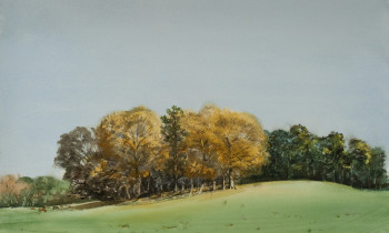 royward_watercolors_web-_NEF2430