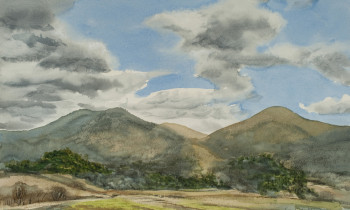 royward_watercolors_web-_NEF2431