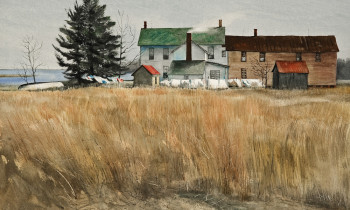 royward_watercolors_web-_NEF7638