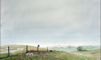 royward_web-_NEF5705