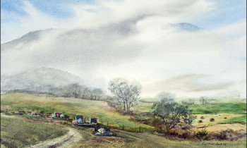 royward_web-_NEF5712