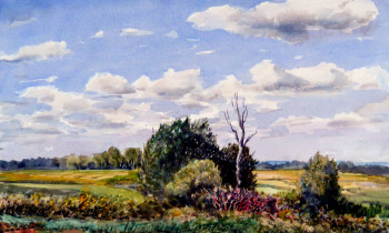 royward_watercolors_web-DSCF0267